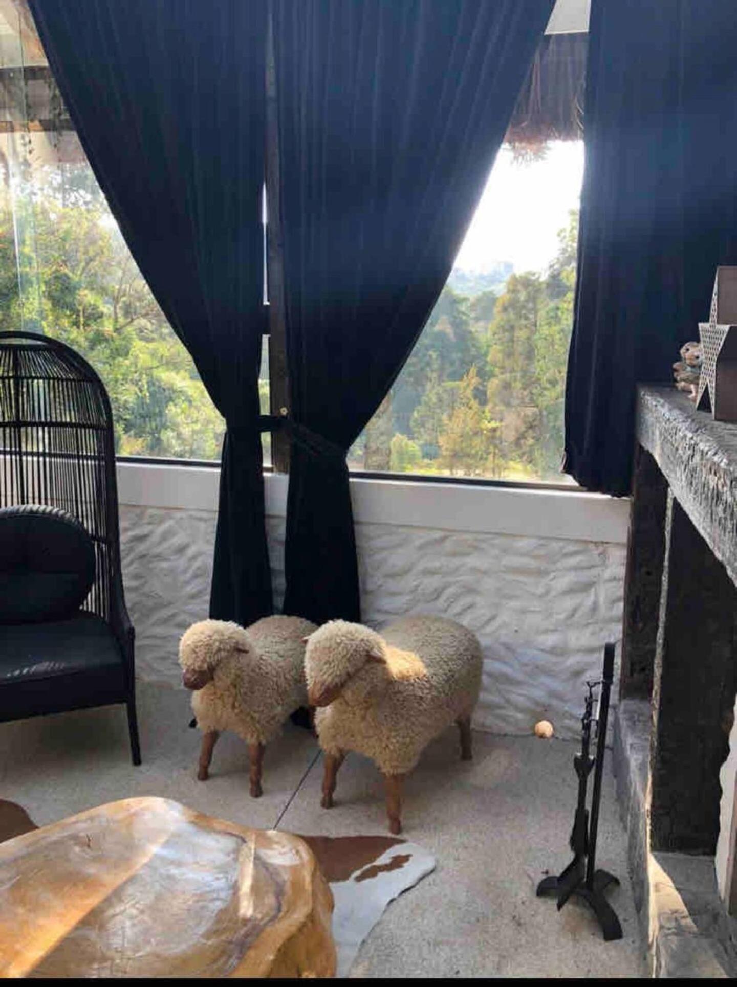 Casa Luxo P 12 Pessoas Ou Premium 4 Pessoas Com Jacuzzi Apartamento *