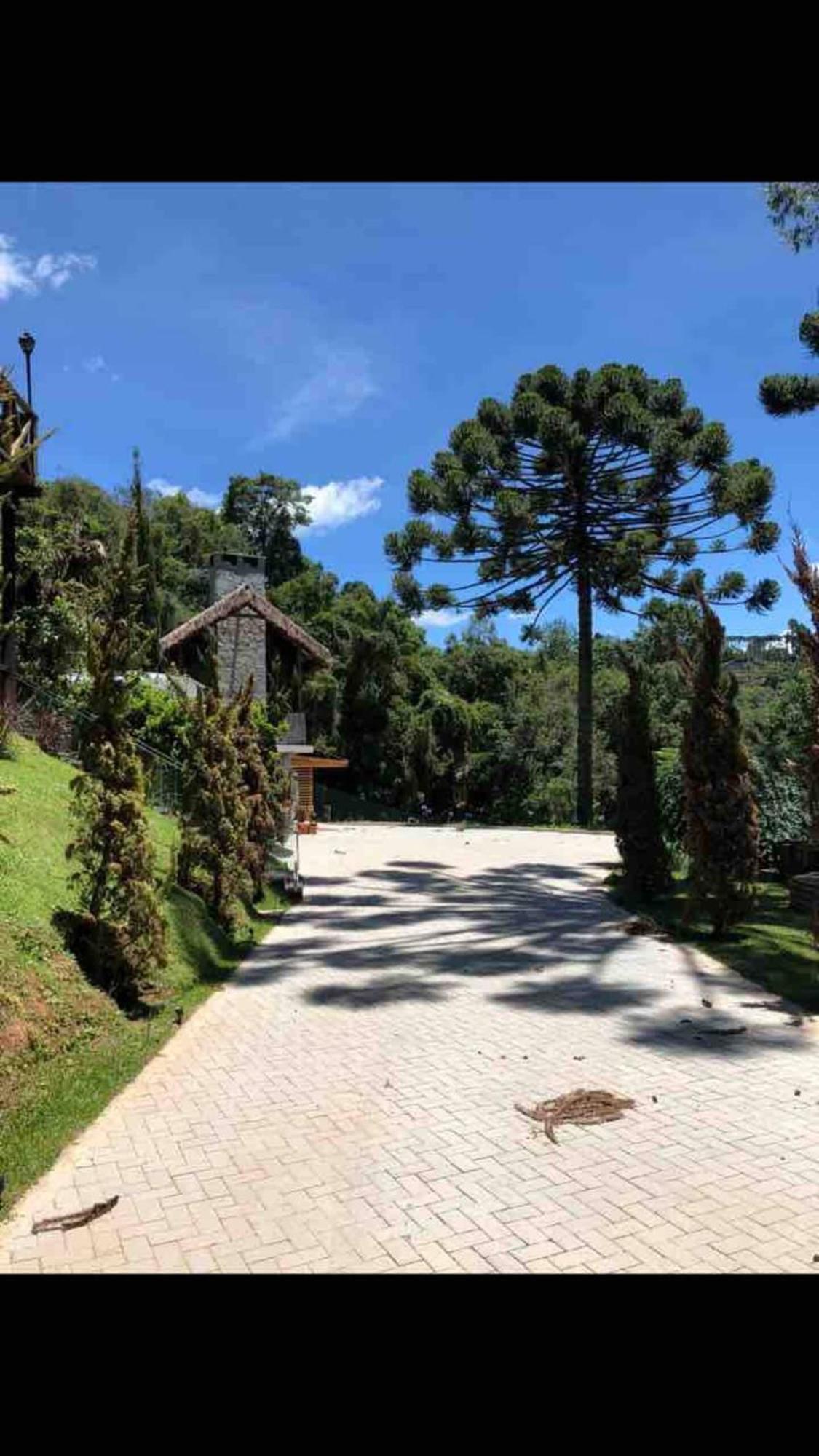 Apartamento Casa Luxo P 12 Pessoas Ou Premium 4 Pessoas Com Jacuzzi Campos do Jordão